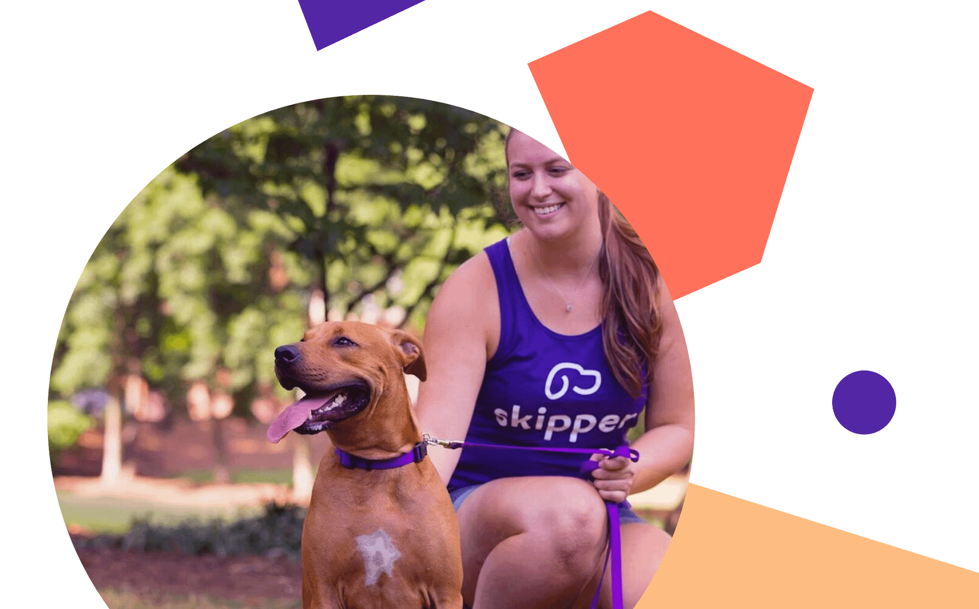 Join Our Team Dog Walking Jobs Skiptown