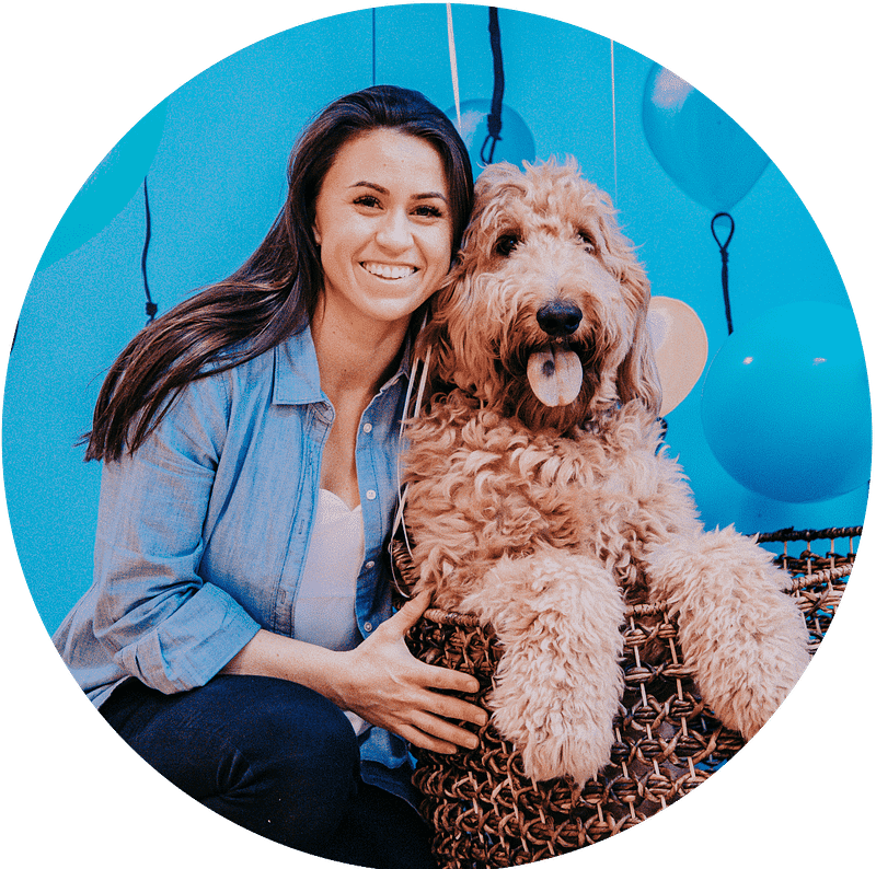 About Us How We're Providing the Best Dog Care Skiptown